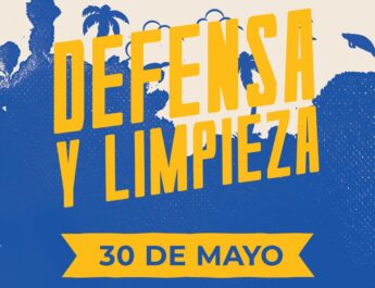 Organizaciones sin fines de lucro junto a creadores de contenido se unen en “Defensa y Limpieza” 