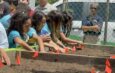 [VEGA BAJA] Se convierte en el primer municipio del área norte en obtener el galardón “Tree City USA”