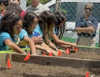 [VEGA BAJA] Se convierte en el primer municipio del área norte en obtener el galardón “Tree City USA”