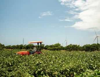 Agricultura reporta aumento récord en agricultores asegurados