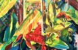 La Liga de Arte de San Juan presenta Fragmentos de conciencia, nueva exposición de Beatriz Echeverría Fabelo