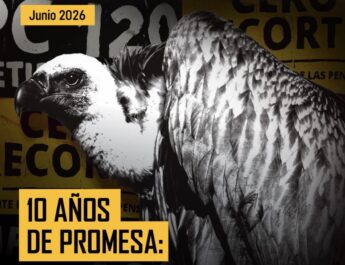 Junta y Gobierno pagan $1,523 millones extra a bonistas mientras condena a la pobreza a miles de pensionados