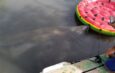 Cuestionan anuncio del DRNA sobre prohibición en Bahía de Jobos
