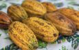 El Festival Aguada sabe a Cacao es este sábado y domingo.