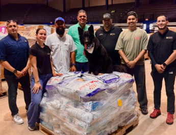 Toy Doggie y Royal Canin envían ayuda para perros rescatados en Venezuela